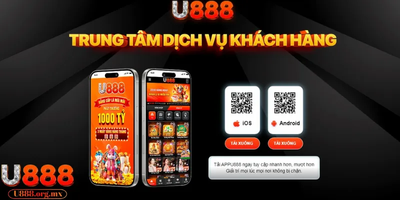 Cập nhật bản mới định kỳ