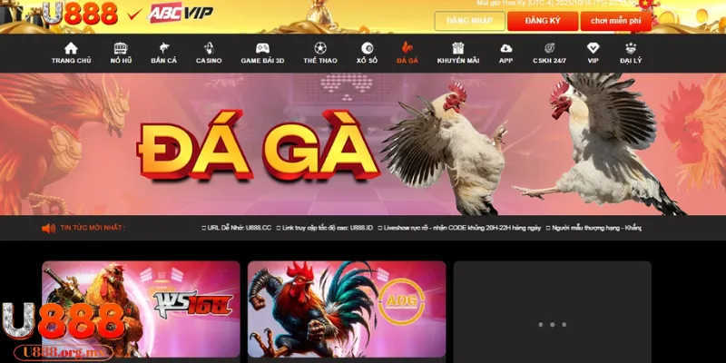 Đá gà - Sống động với những màn live nét