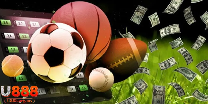 Điểm mặt những môn thể thao phổ biến