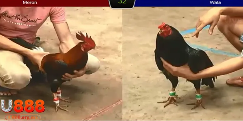 Phân định thắng bại theo quy tắc cụ thể