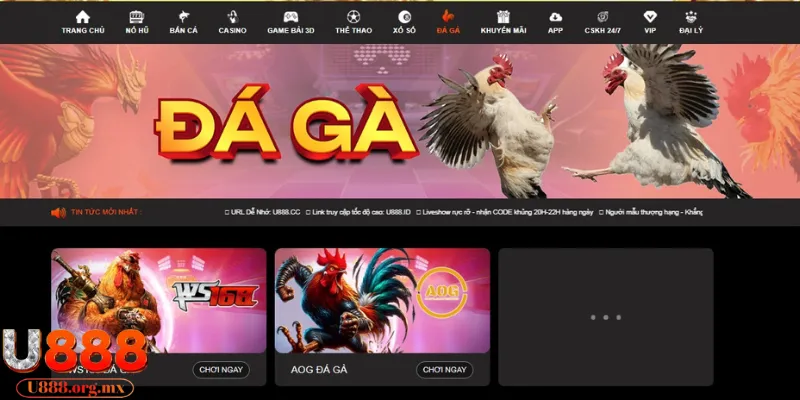 Thao tác truy cập xem trực tiếp đá gà